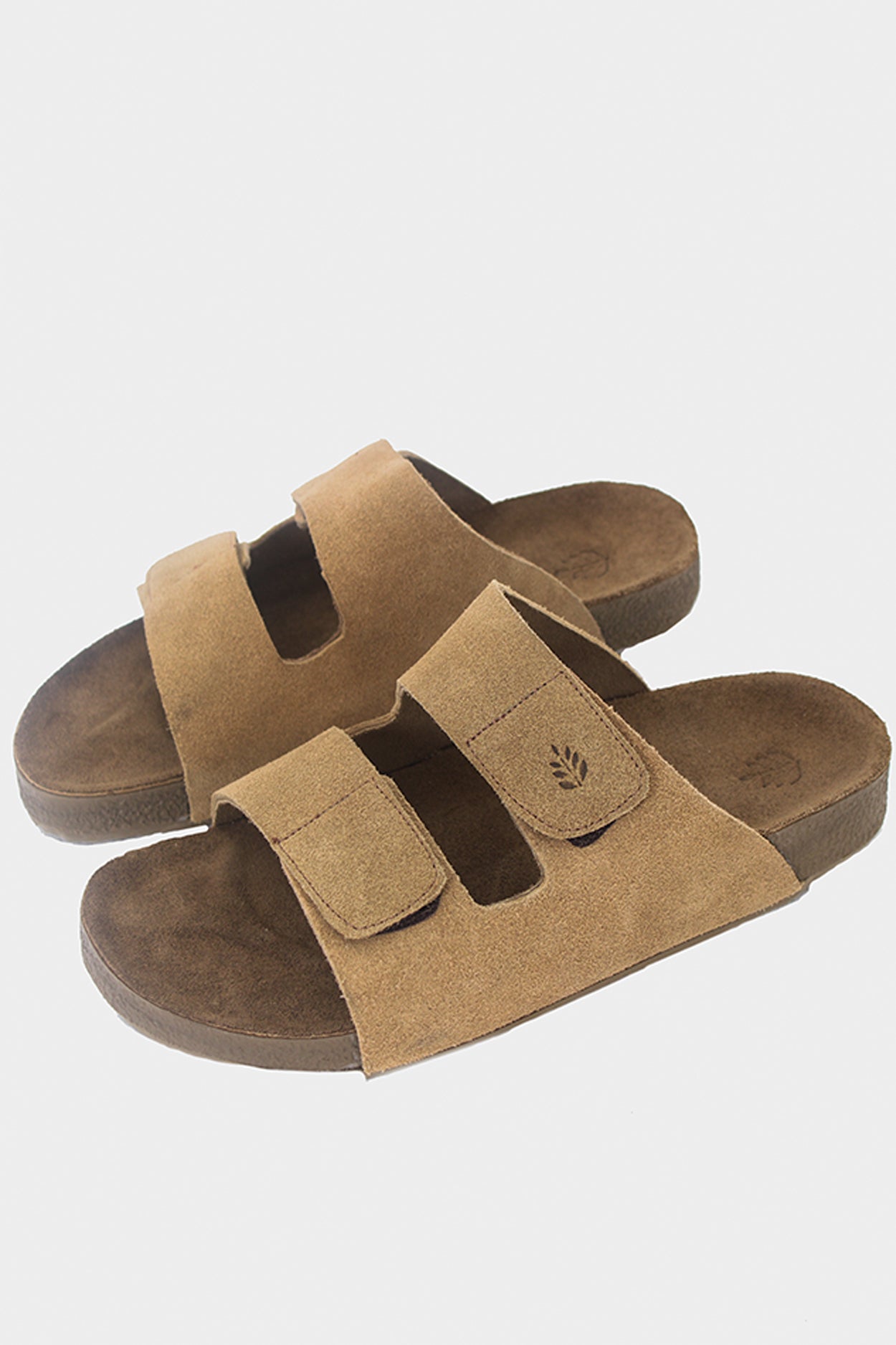 Birken Florest Areia