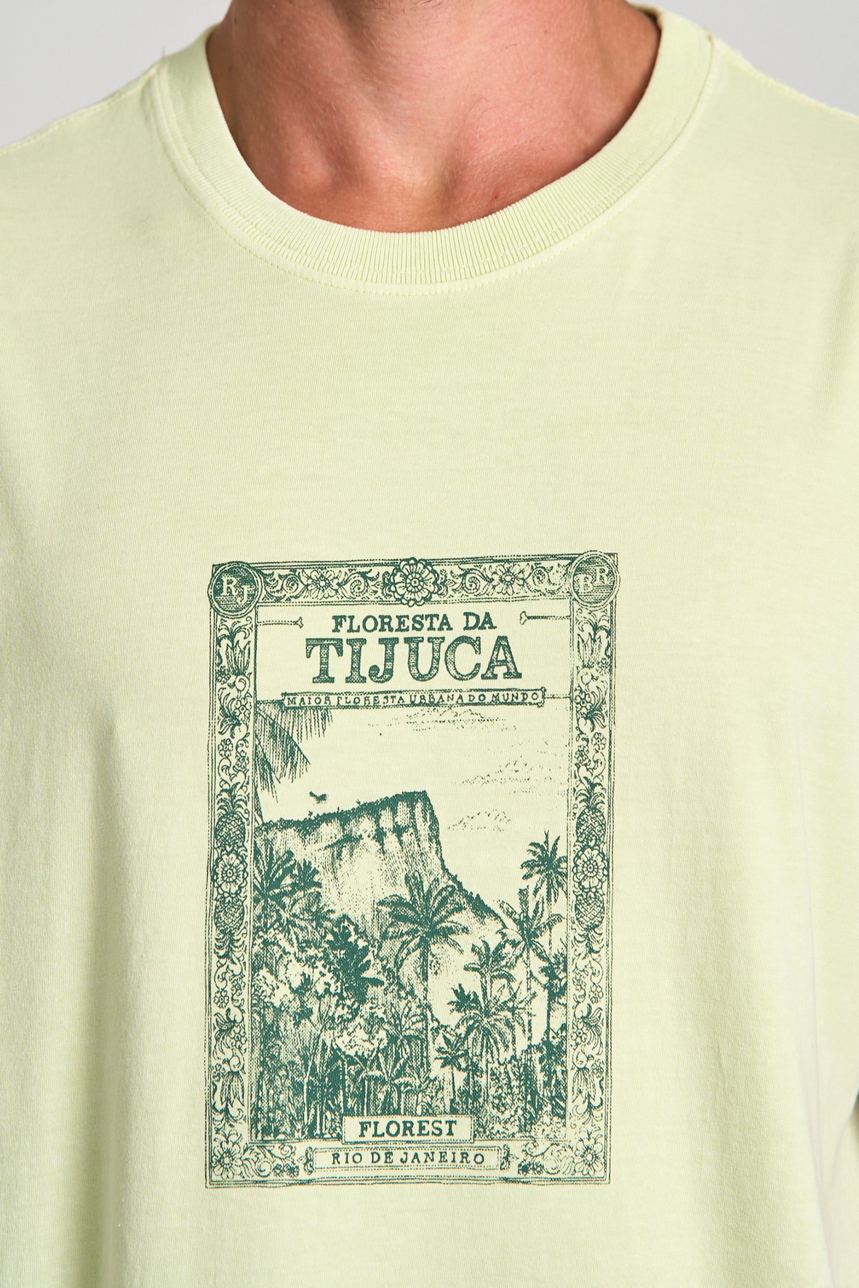 Camiseta Tijuca Stone Verde Claro