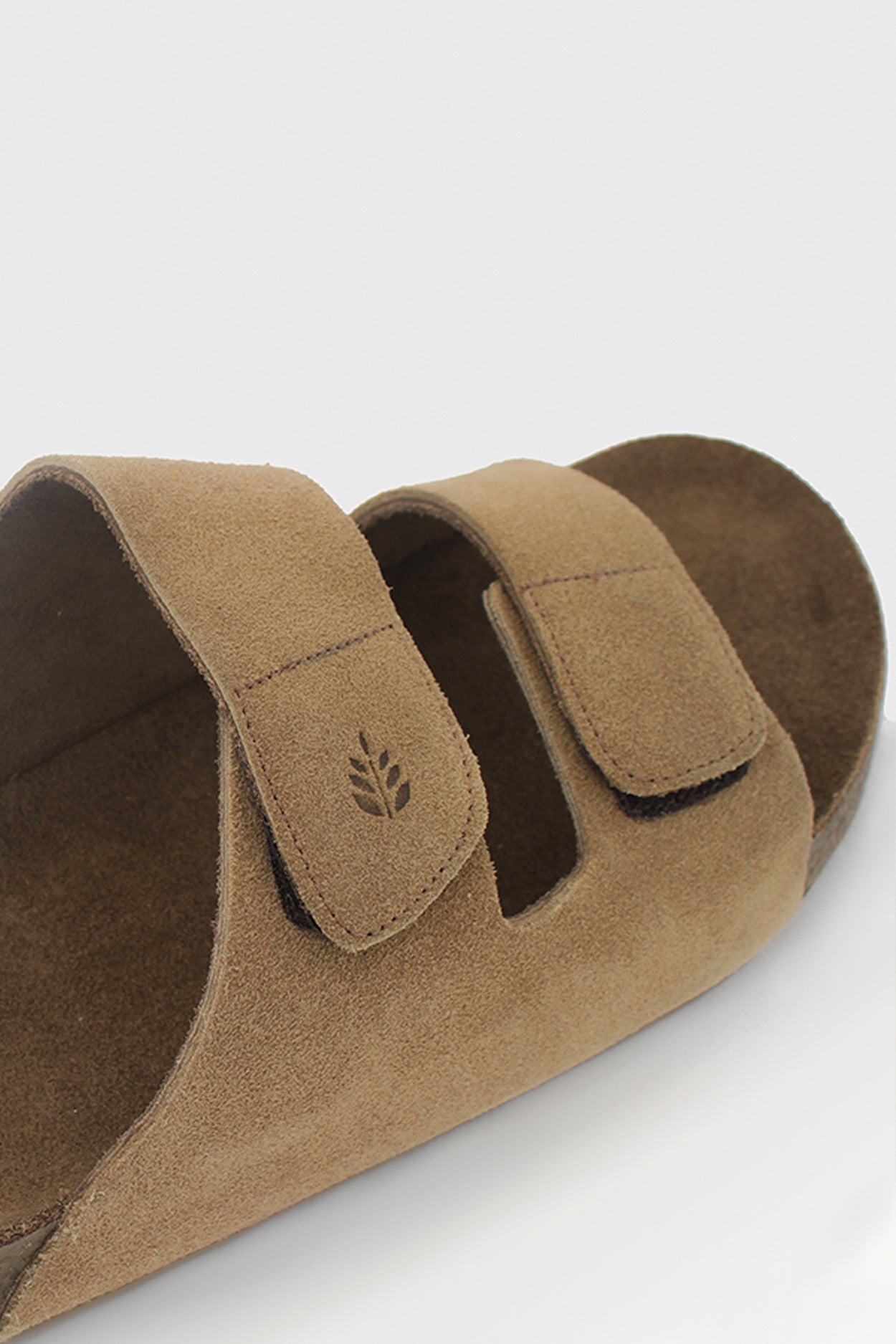 Birken Florest Areia
