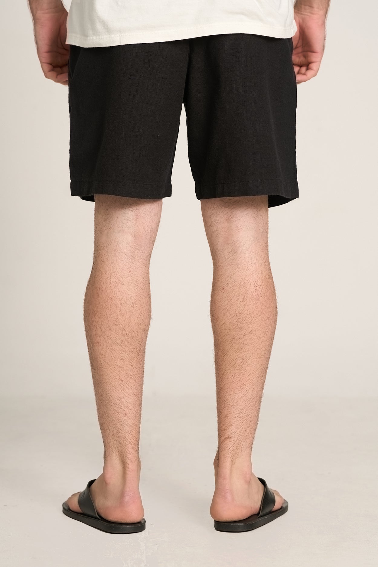 Bermuda Holly Preto