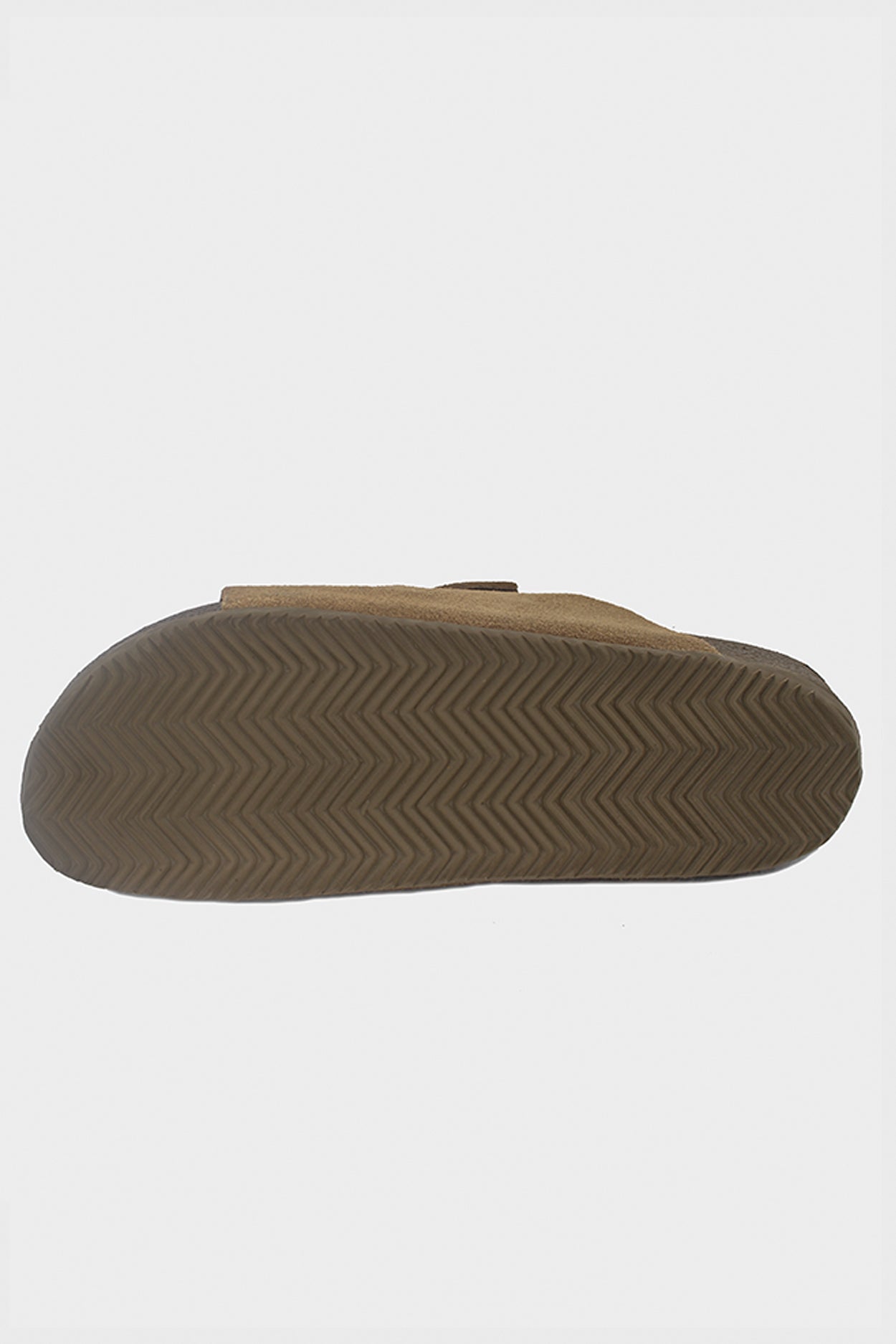 Birken Florest Areia