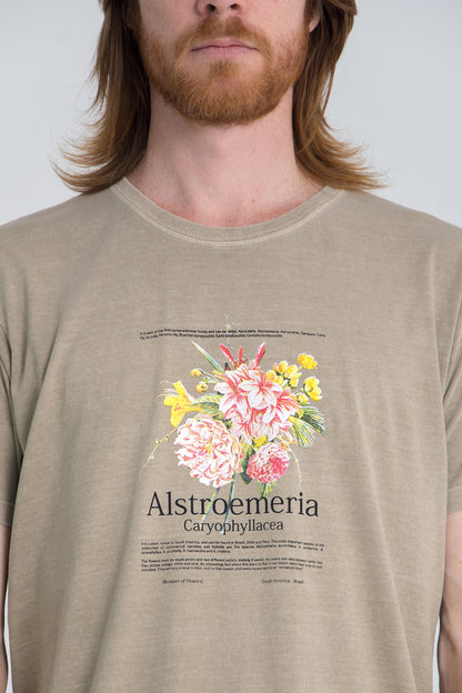 Camiseta Buque Stone Caqui