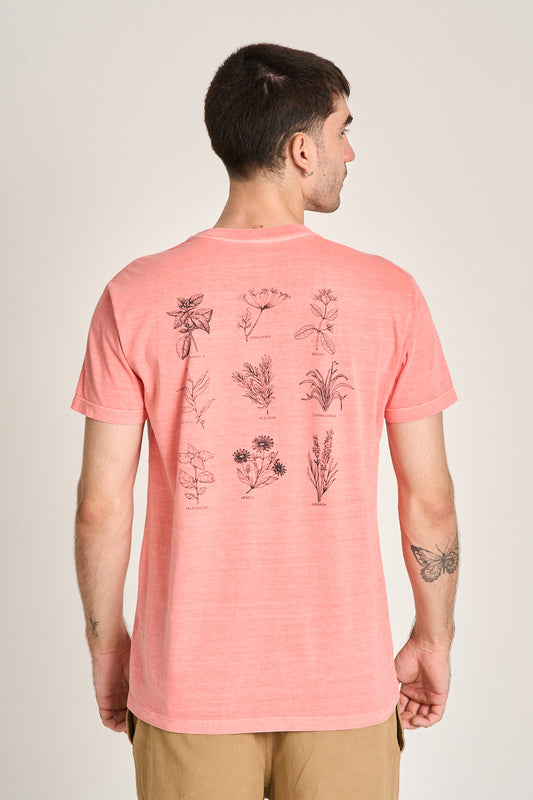CAMISETA HERBAL Pitanga