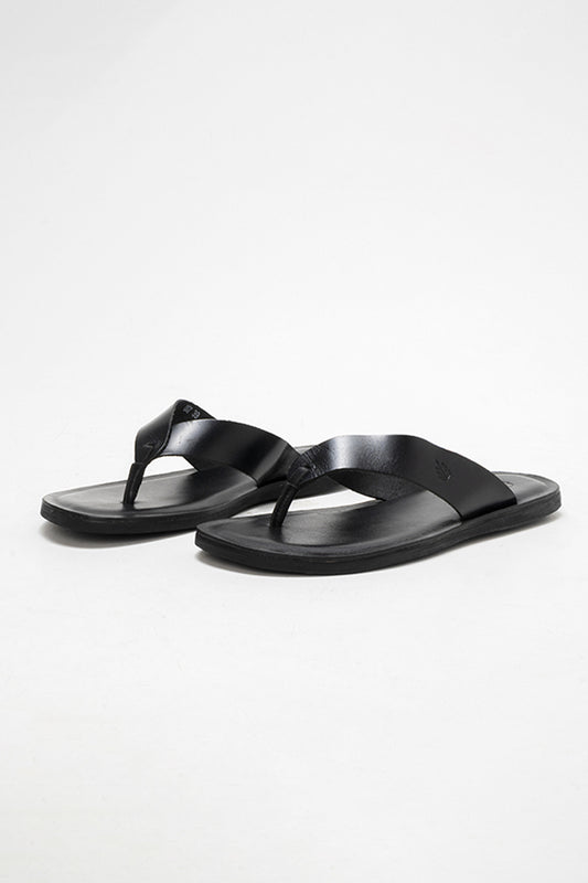 Chinelo Ipanema Preto