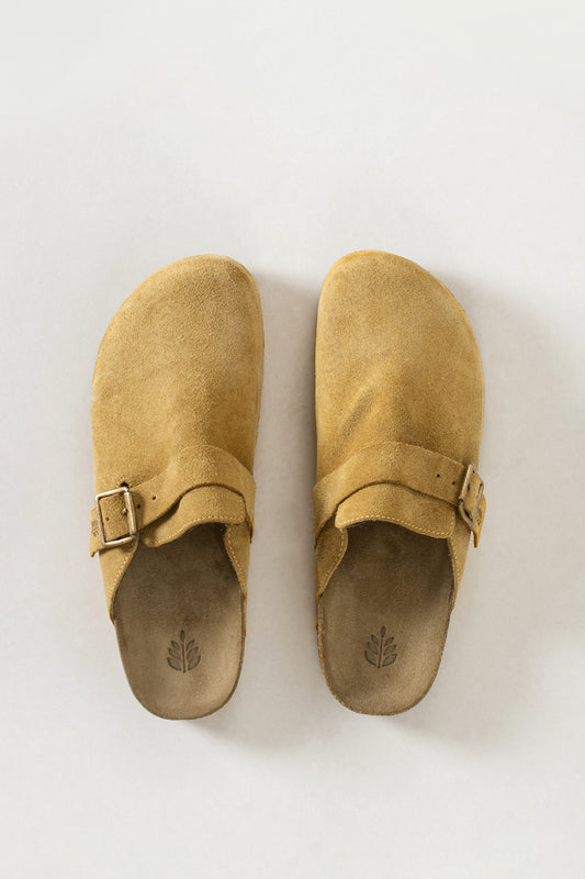 Mule Florest