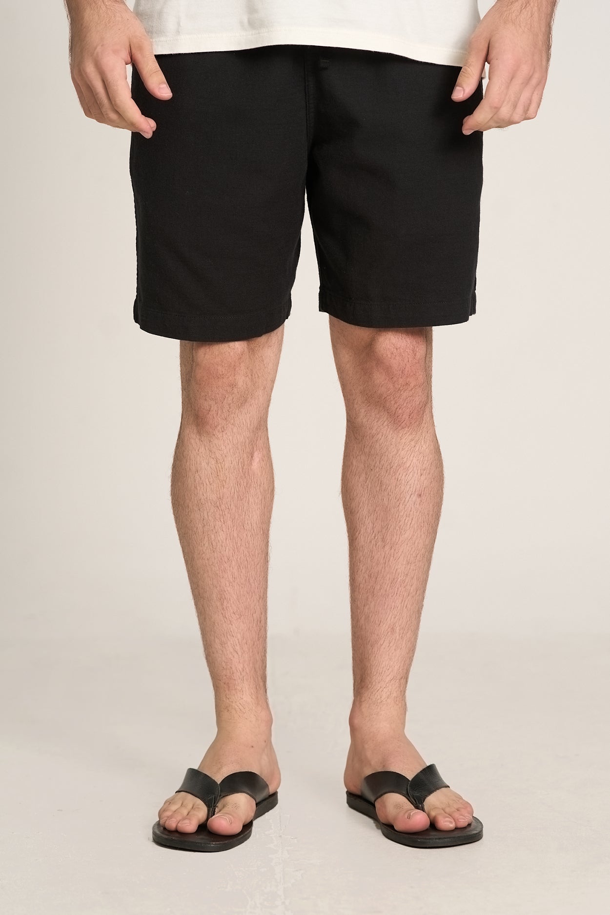 Bermuda Holly Preto