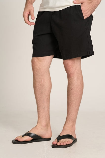Bermuda Holly Preto
