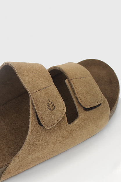 Birken Florest Areia