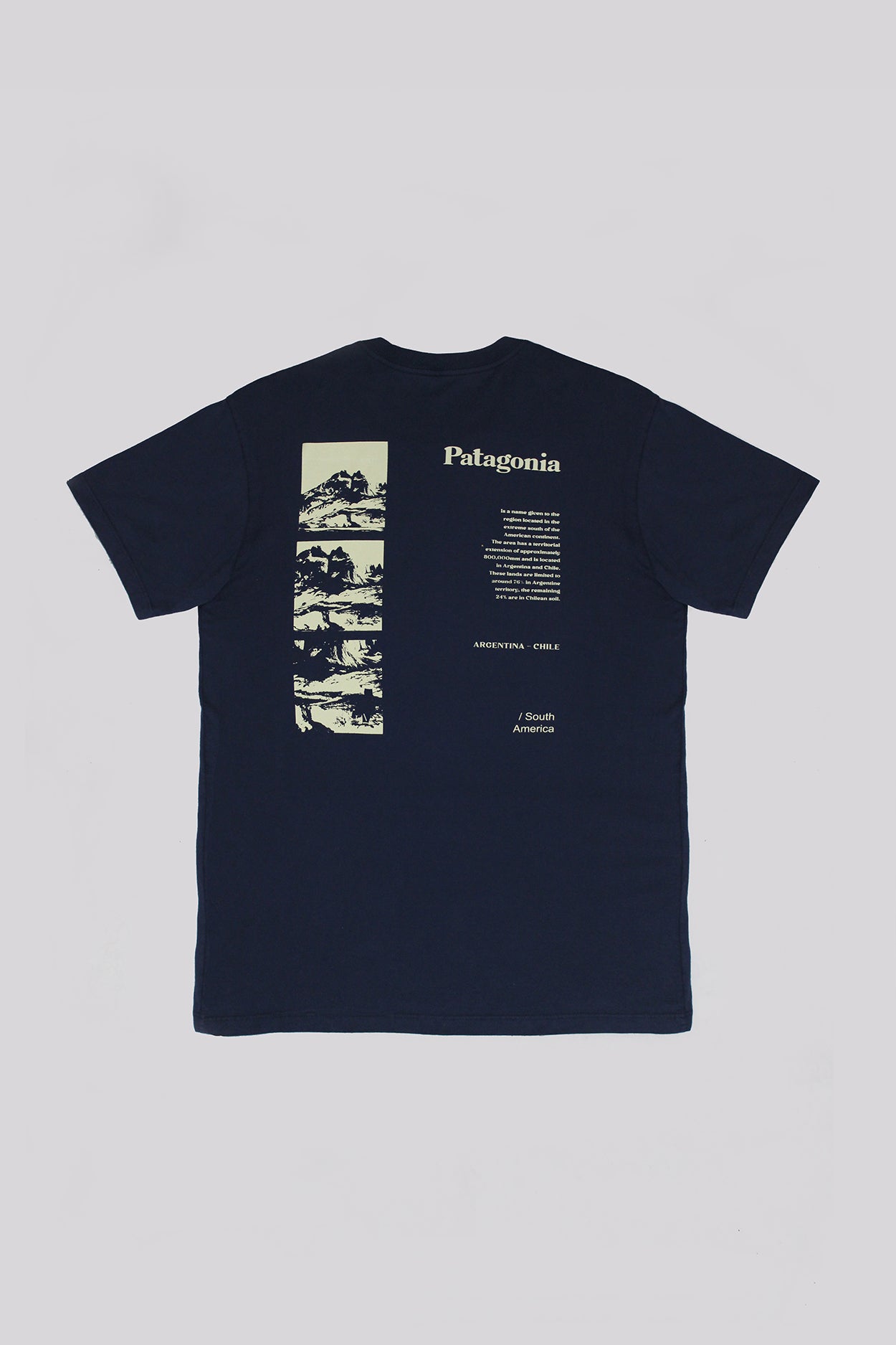 Camiseta Patagonia America Azul Marinho