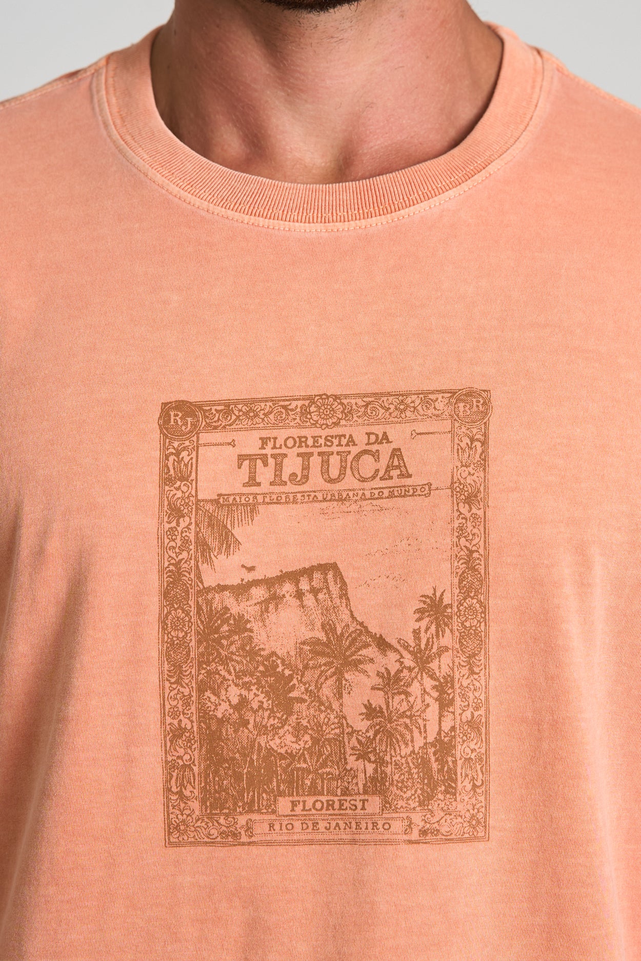 Camiseta Tijuca Stone Telha