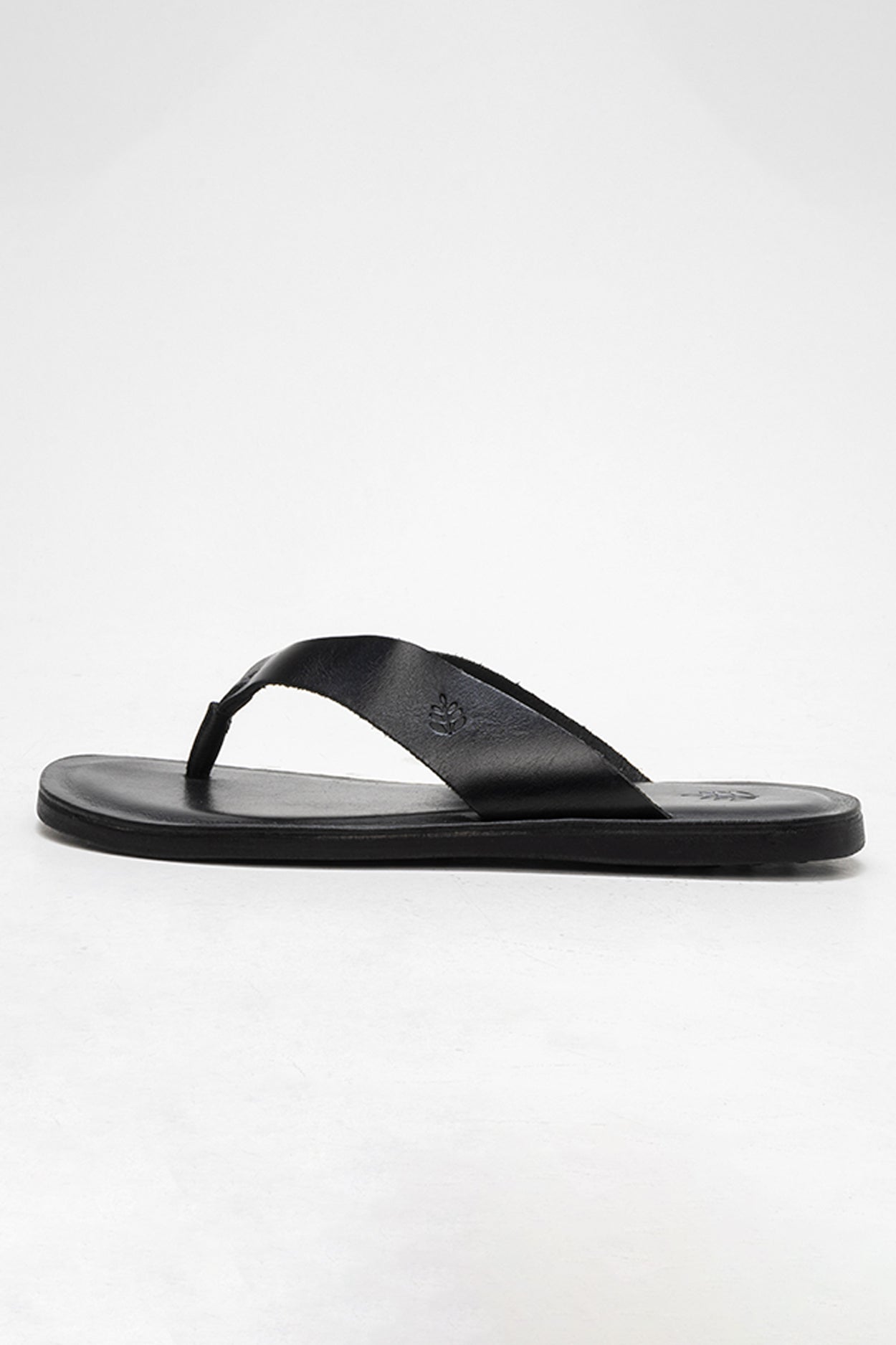 Chinelo Ipanema Preto