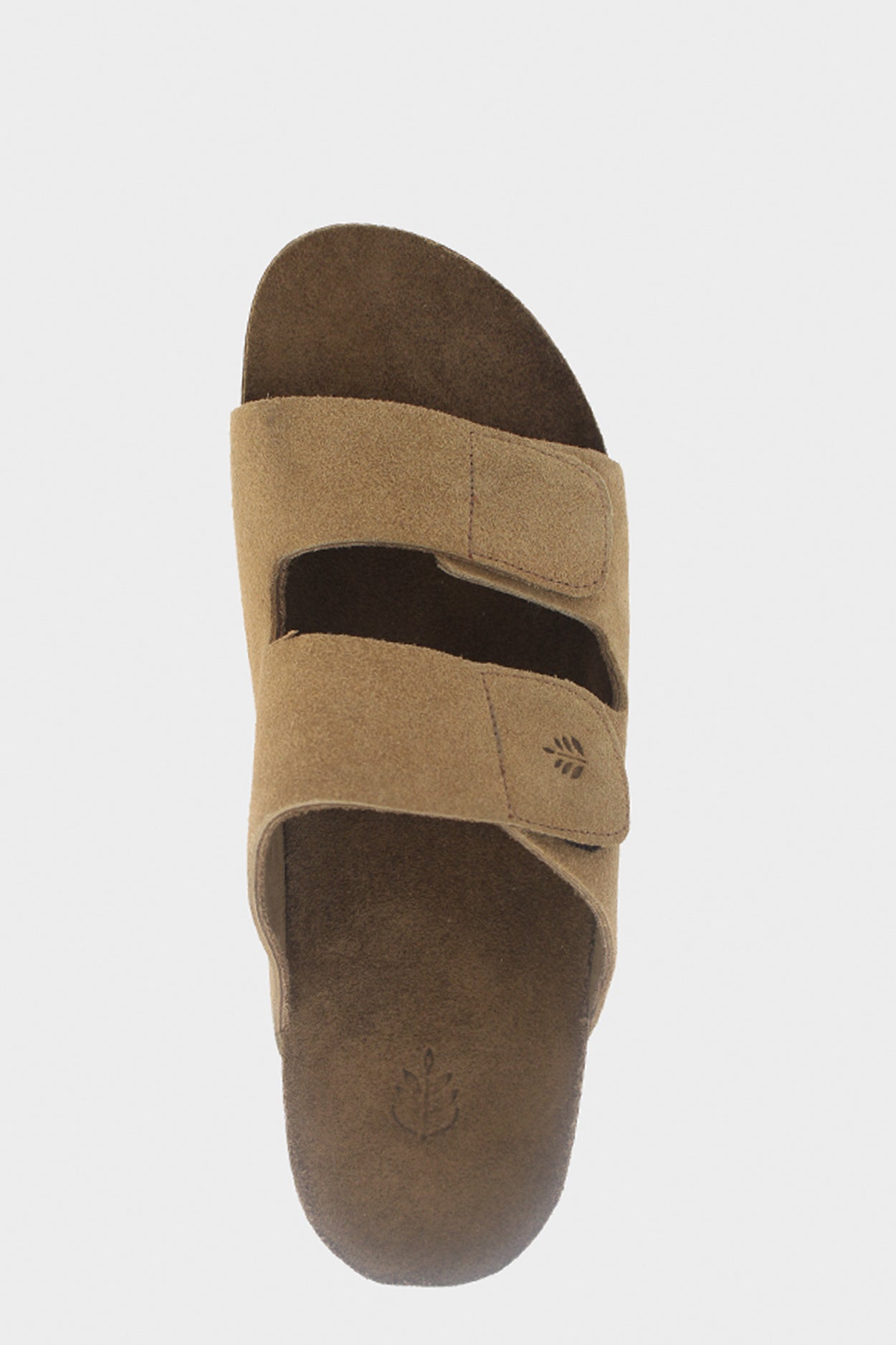 Birken Florest Areia