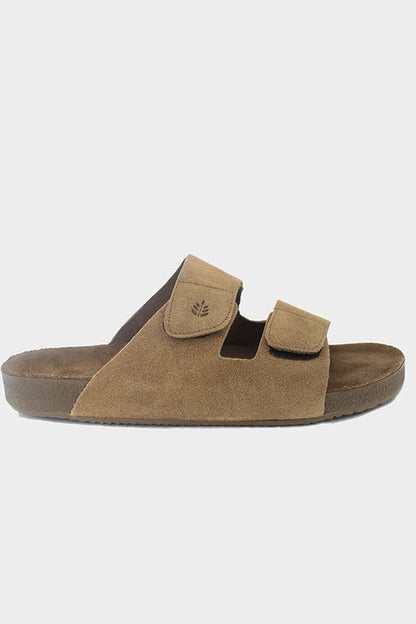 Birken Florest Areia